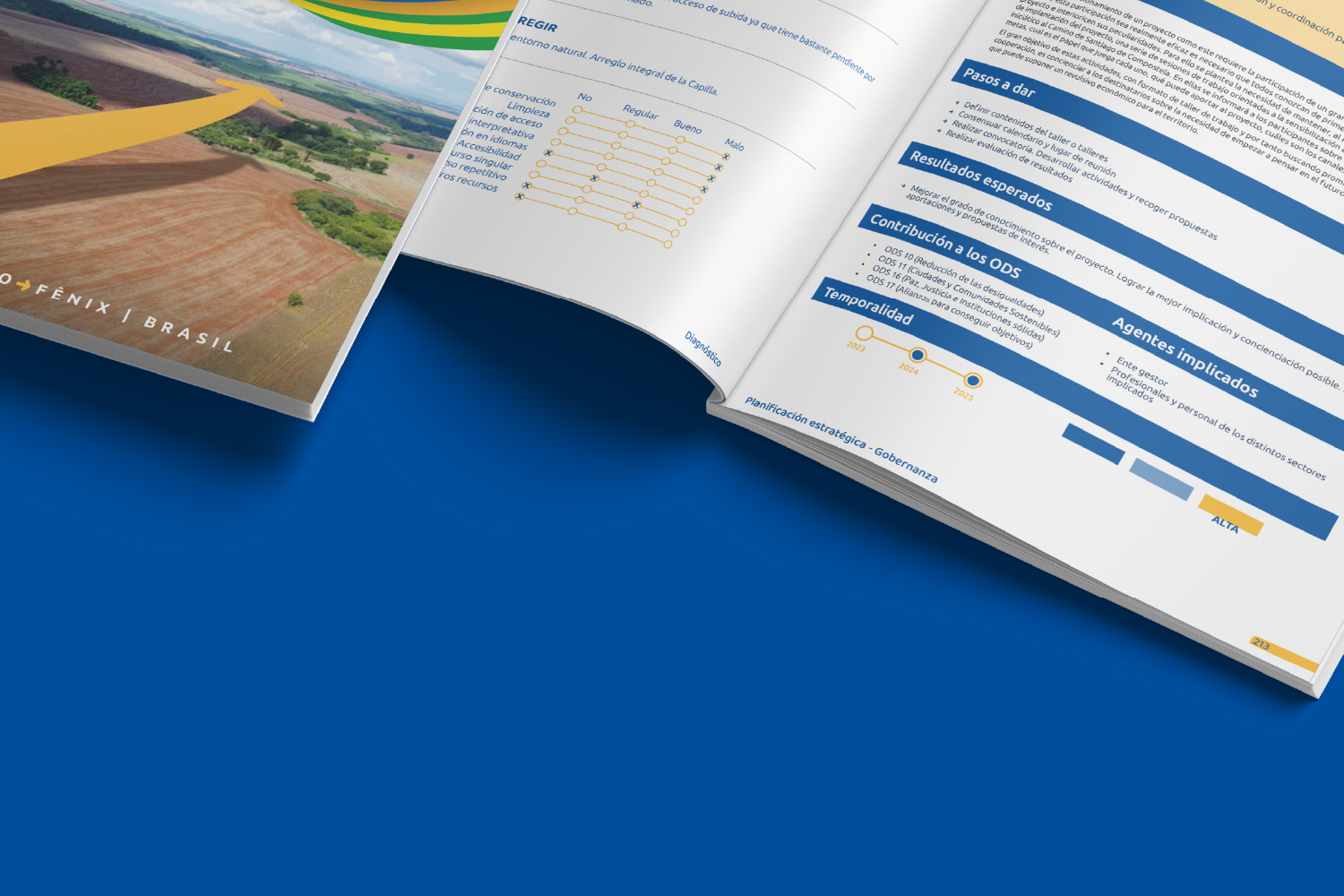 carruselMesa de trabajo 1